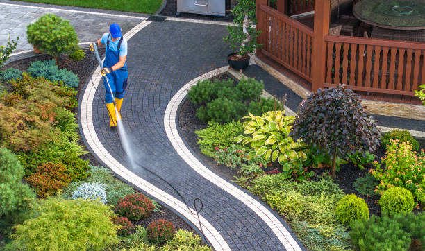 Best Roof Pressure Washing  in Milton, NY